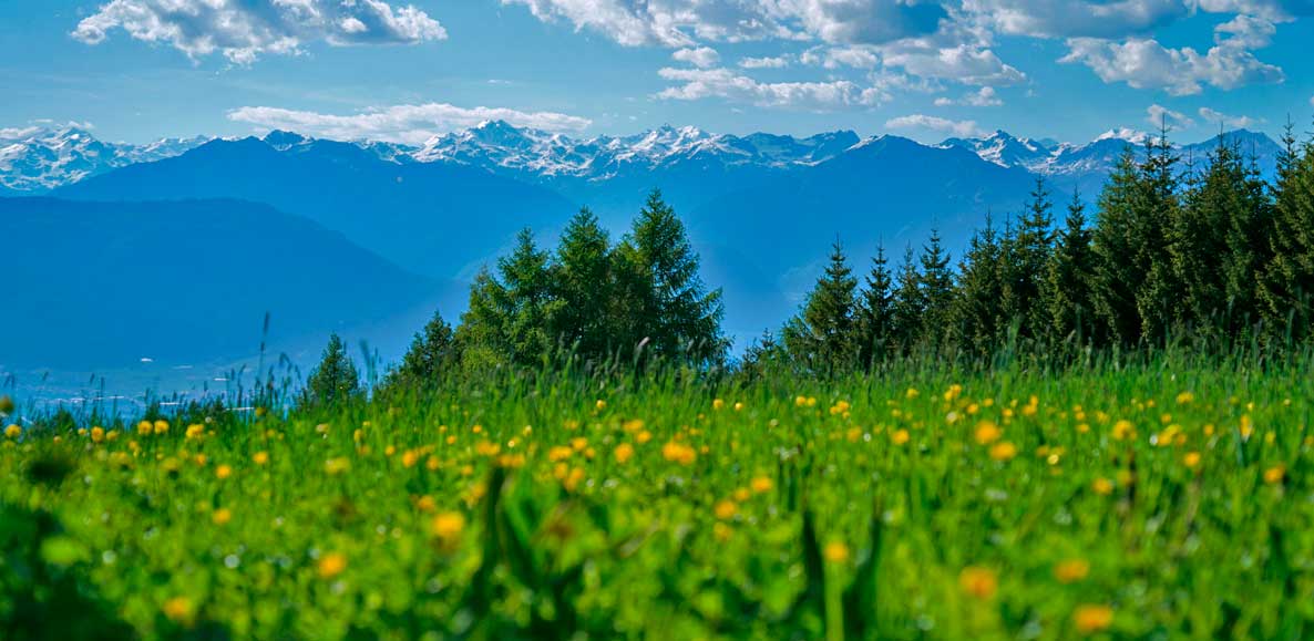 val di non